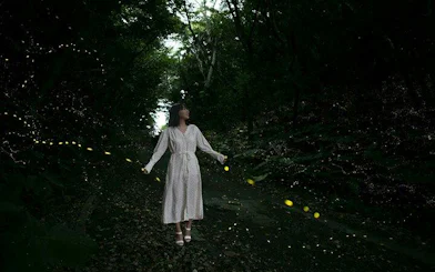 Woman walking through forest with glowing fireflies, Ishigaki Sunset Yaeyama Firefly Viewing Tour, Okinawa.