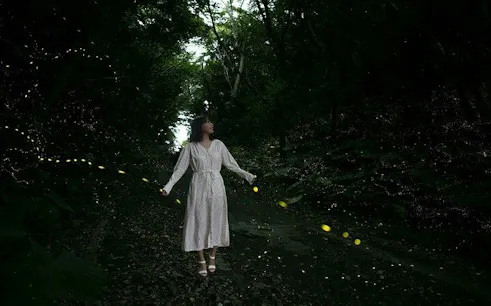 Woman walking through forest with glowing fireflies, Ishigaki Sunset Yaeyama Firefly Viewing Tour, Okinawa.