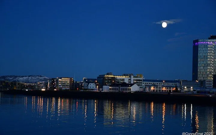 Reykjavik skyline at night with moon reflecting on water during guided walking tour.