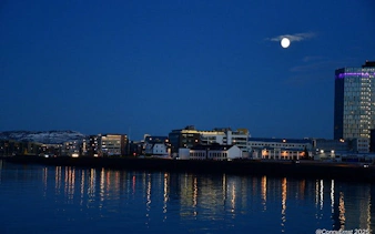 Reykjavik skyline at night with moon reflecting on water during guided walking tour.