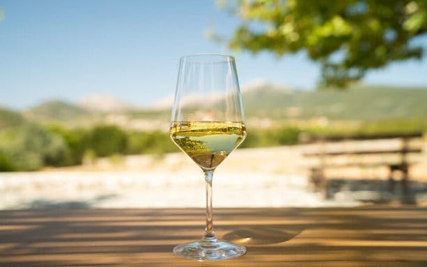 kefalonia wine tour: three wineries visit with up to 18 tastings and local delicacies-3