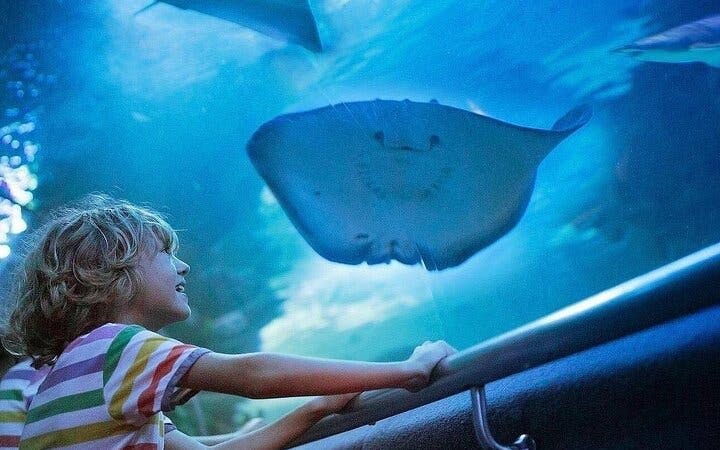 alanya aquarium and fun park tour all inclusive with hotel pickup-3