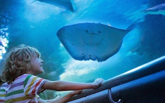 all-inclusive-tour zum alanya aquarium und fun park mit abholung vom hotel-3