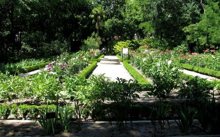 Real Jardín Botánico Madrid garden path with lush greenery and colorful flowers.