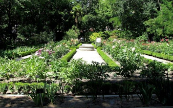 Real Jardín Botánico Madrid garden path with lush greenery and colorful flowers.