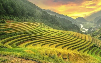 Terraced rice fields in Mu Cang Chai at sunset, Vietnam, part of private scenic car tour.