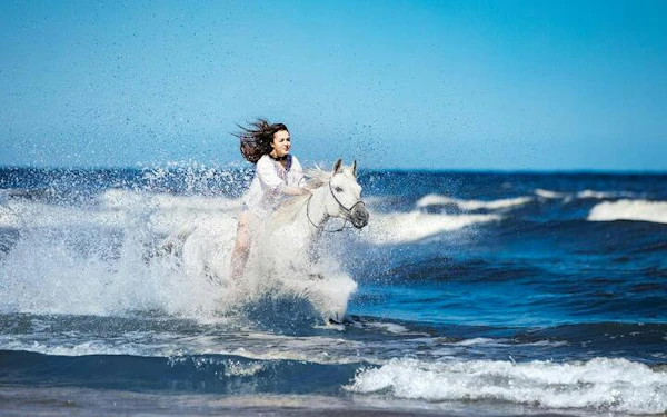 3 Hours Horse Ride & Swimming in the Red Sea - Hurghada