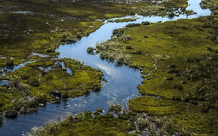 Okavango Delta Doors-Off Helicopter Tour with Champagne Island Stop