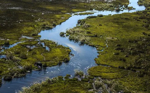 Aerial view of Okavango Delta wetlands with winding river and lush greenery.