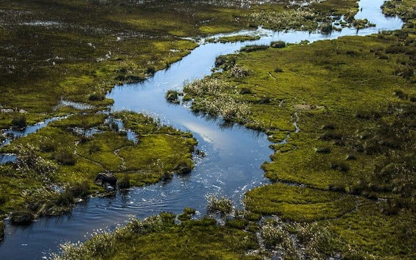 Okavango Delta Doors-Off Helicopter Tour with Champagne Island Stop