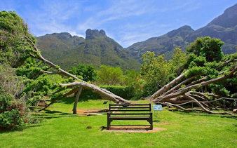 biglietti prenotati in anticipo per le 6 principali attrazioni di città del capo: robben island, table mountain, two oceans aquarium, cape wheel, giardini botanici di kirstenbosch, groot constantia-3