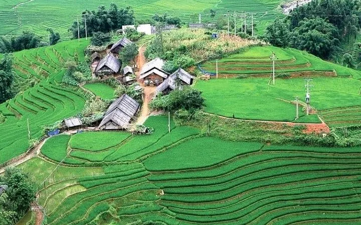 Sapa terraced rice fields and village huts on a private guided car tour.