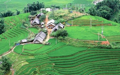 Sapa terraced rice fields and village huts on a private guided car tour.