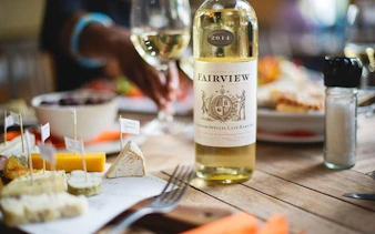 cape town private family tour with wine tasting and animal encounters-3