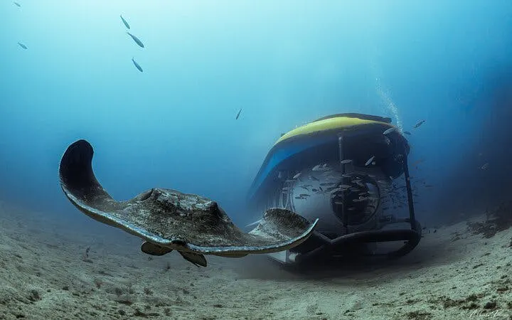 Submarine exploring ocean floor with stingray, Tenerife tour.