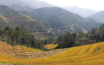 Rice terraces and forested hills in Sa Pa, Vietnam, viewed during a private car tour to Mu Cang Chai.