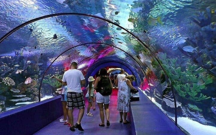alanya aquarium und fun park – all-inclusive-tour mit übernachtung im hotel p-1