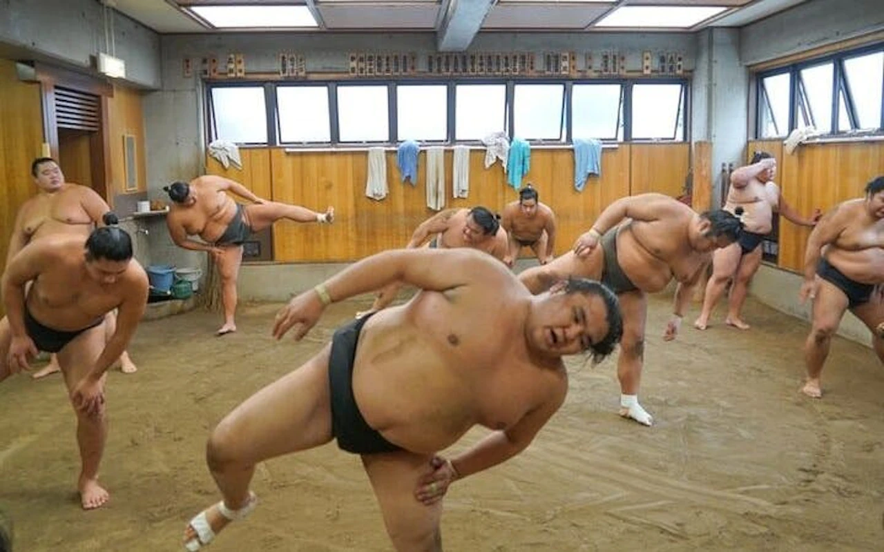 Visite guidée de l'entraînement matinal de sumo à Tokyo avec place au bord du ring + séance photo — 8