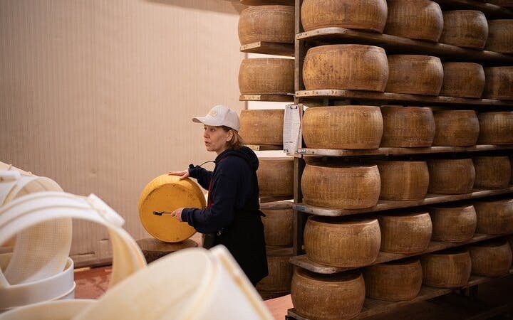 bologna food valley: degustazione in fabbrica, vini e prodotti tradizionali-4
