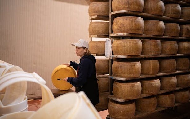 bologna food valley: degustazione in fabbrica, vini e prodotti tradizionali-4