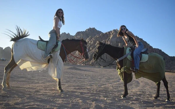 Sunrise Horseback Ride in Desert and Along Red Sea with Hotel Transfers – Hurghada