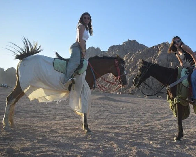 Sunrise Horseback Ride in Desert and Along Red Sea with Hotel Transfers – Hurghada