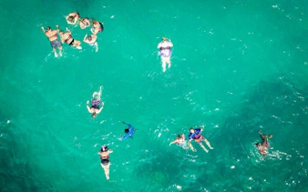 Snorkelers in clear turquoise water during catamaran cruise, Punta Cana.