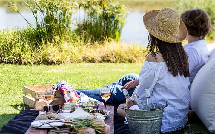 cape town private helicopter flight, winelands wine tastings and picnic lunch tour-8