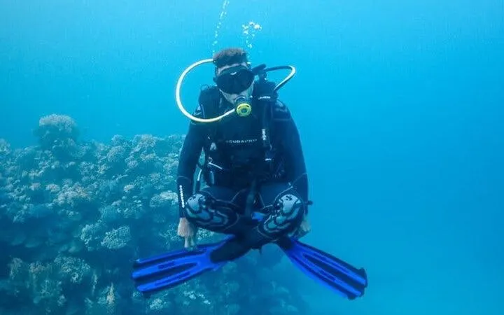Diver exploring coral reef during Tiran Island snorkeling trip, Sharm El Sheikh.