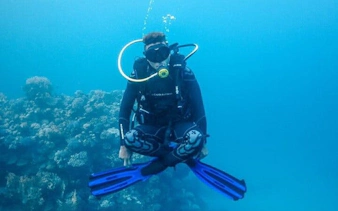 Diver exploring coral reef during Tiran Island snorkeling trip, Sharm El Sheikh.