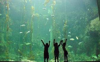 cape town private family tour with wine tasting and animal encounters-6