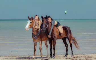 Horseback riders on the beach by the Red Sea during sunrise, Hurghada tour.