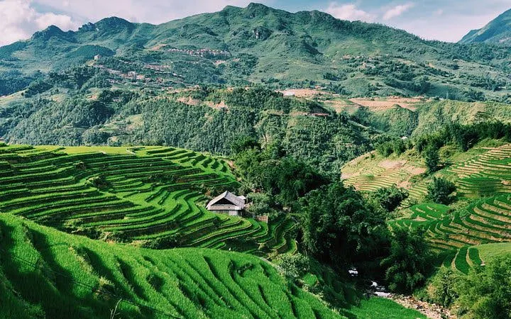 Terraced rice fields in Sapa with a bungalow in Ta Van Village, Vietnam.