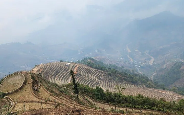 Terraced rice fields in Mu Cang Chai, Vietnam, with misty mountains in the background.