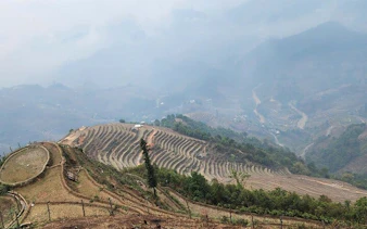 Terraced rice fields in Mu Cang Chai, Vietnam, with misty mountains in the background.