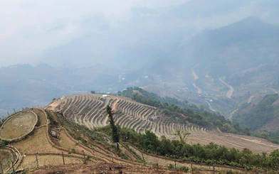 Terraced rice fields in Mu Cang Chai, Vietnam, with misty mountains in the background.