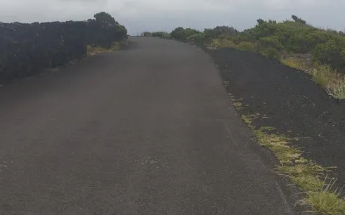 Paved road on Pico Island surrounded by volcanic rock and greenery.
