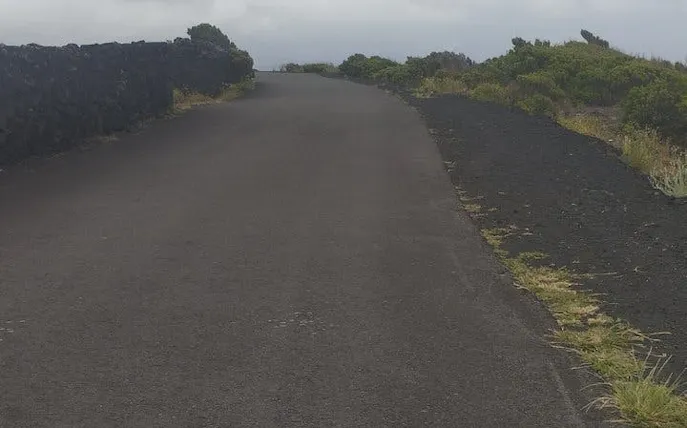 Paved road on Pico Island surrounded by volcanic rock and greenery.