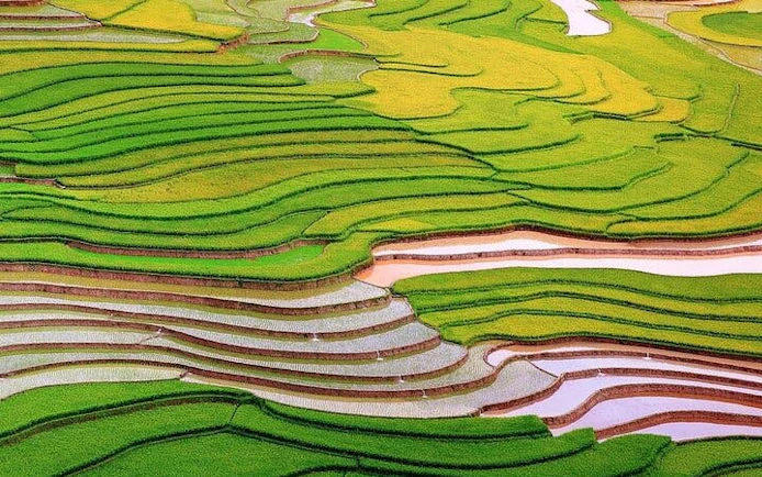 Terraced rice fields in Mu Cang Chai, Vietnam, showcasing vibrant green and yellow layers.