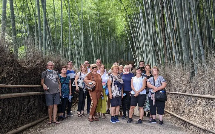 vandretur i arashiyama i kyoto med besøk til okochi sanso, tenryuji og monkey park-7