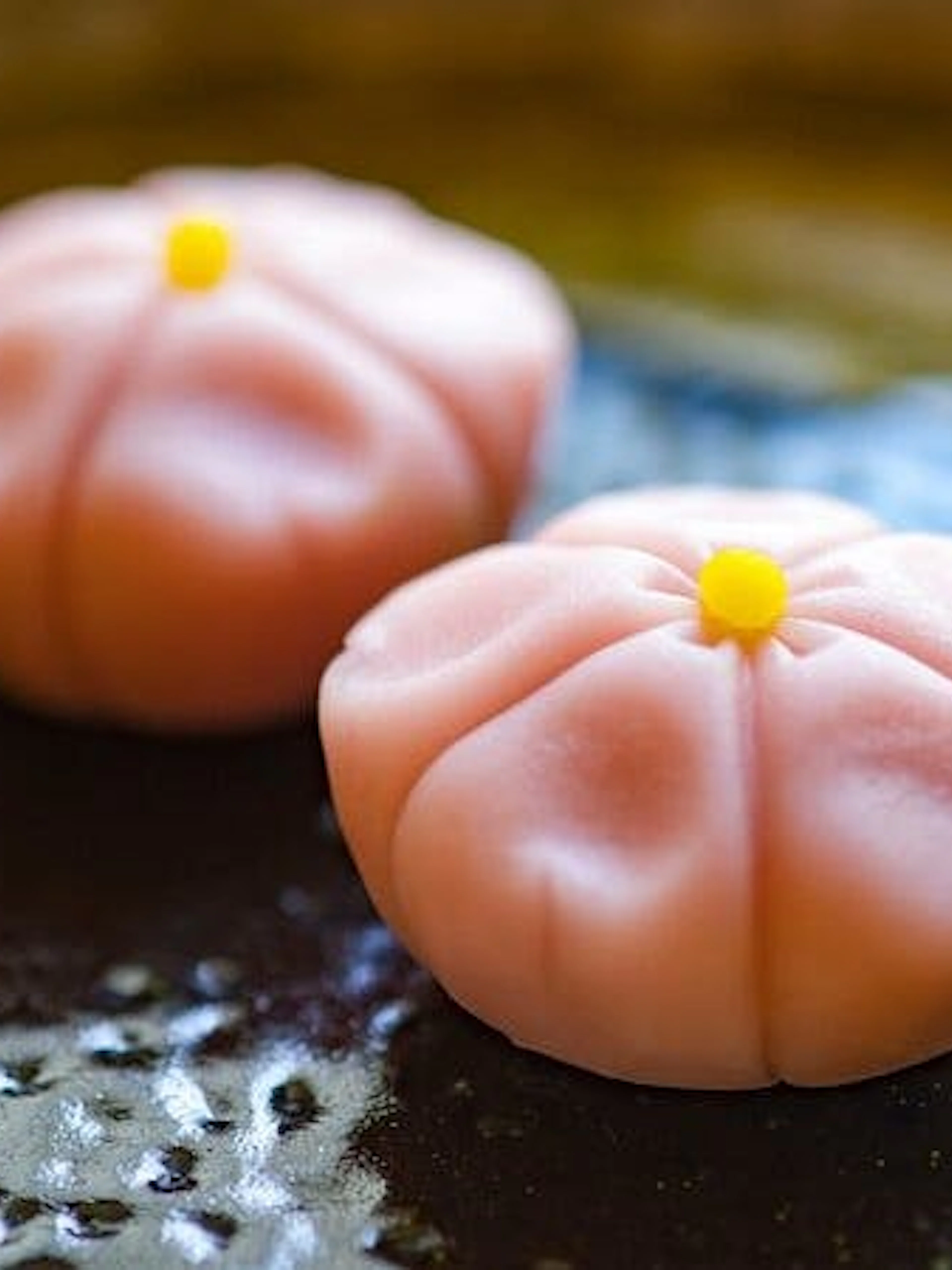 Two traditional Japanese sweets on a plate, part of Osaka matcha-making class.