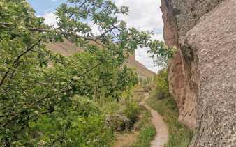 Pathway through rocky landscape with greenery in Cappadocia, Turkey.