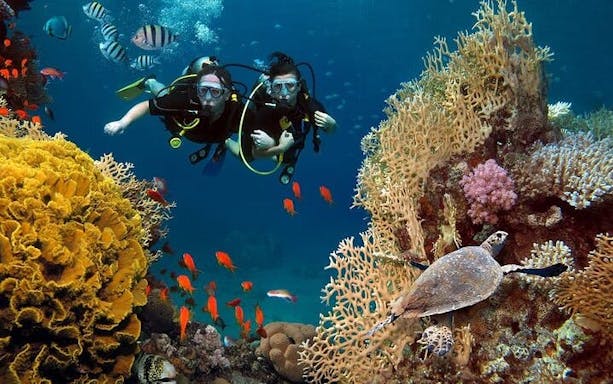 excursie de scufundări și snorkeling în alanya-4