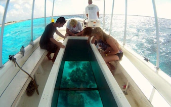 Glass-bottom boat tour with passengers viewing coral reef, Sharm El Sheikh.