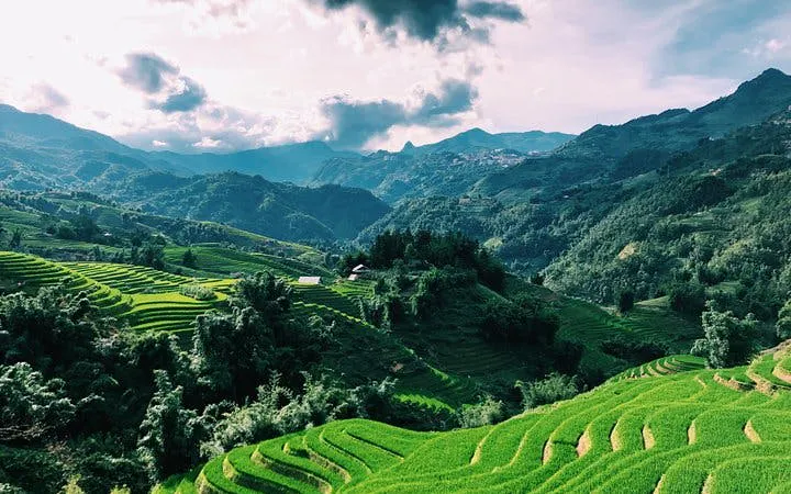 Terraced rice fields in Sapa with mountains in the background, Vietnam.