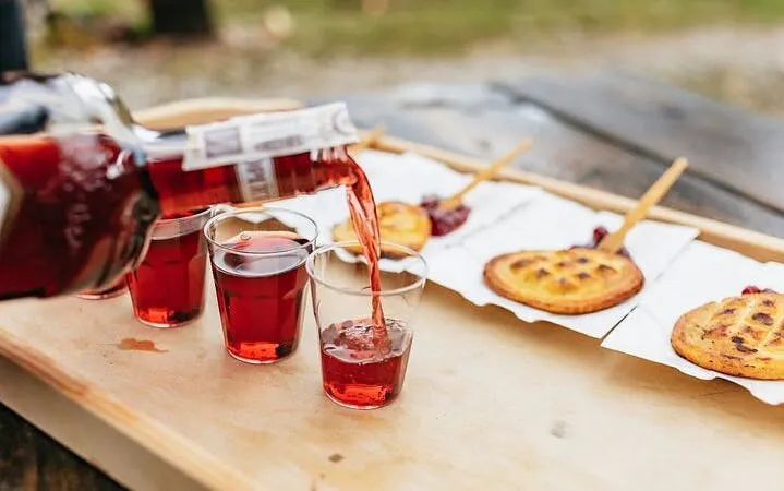 Pouring red drink into glasses with cheese pastries on a wooden table during Tatra Mountains tour.