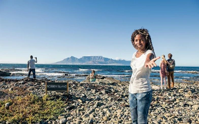 Cape Town Private Highlights Tour: Robben Island, Table Mountain, Cape Point, and Wine Tasting