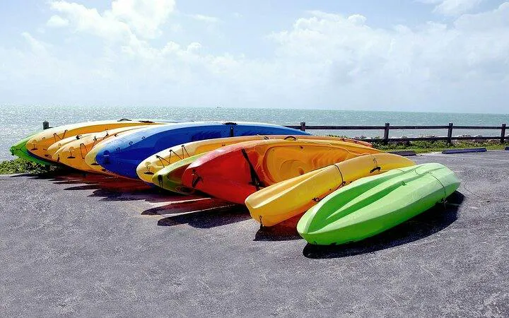 Colorful kayaks lined up by the ocean for Key Largo Mangrove Kayak Adventure, Miami.