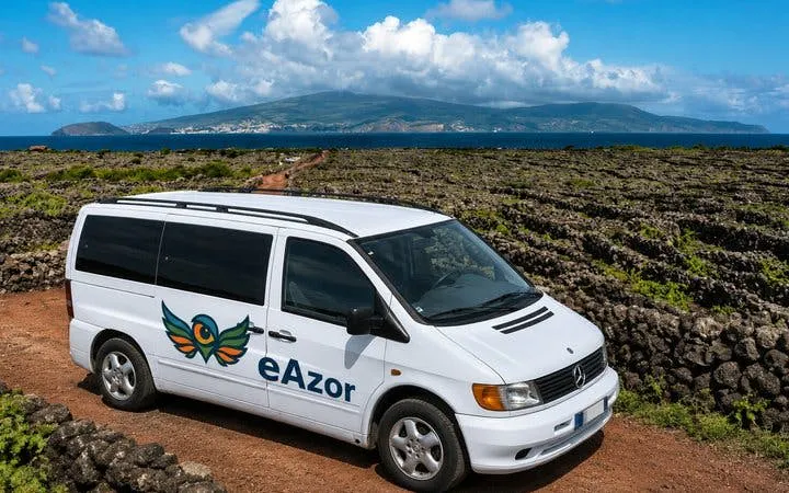 Pico Island UNESCO Vineyard Landscape Guided Tour with Museum and Wine Producer Visits Image 8