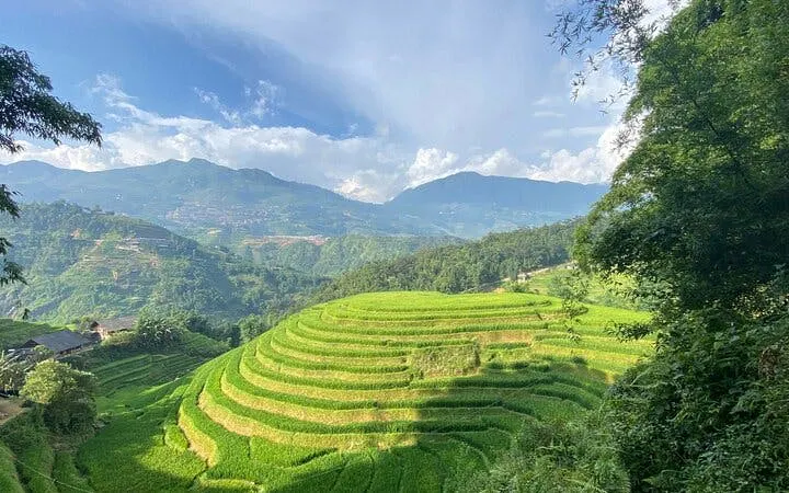 Terraced rice fields on Sapa trekking tour, Y Linh Ho, Lao Chai, Ta Van trails, Vietnam.